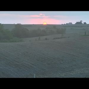 Meet your Posher, Tabitha